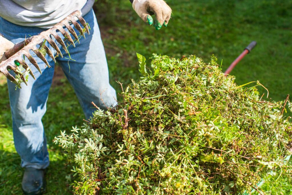 green waste removal