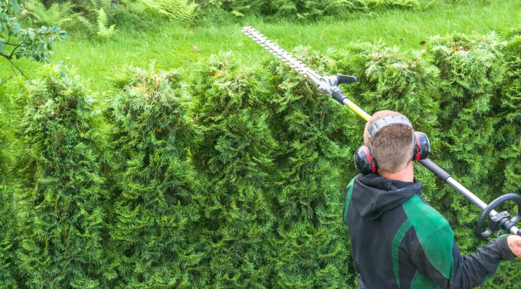 Hedge Cutting Services: Precision and Care for Your Hedges